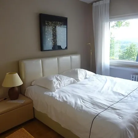 Rheintalblick 1 - #63606 Apartment *